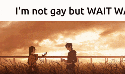 a poster that says i 'm not gay but wait wait wait