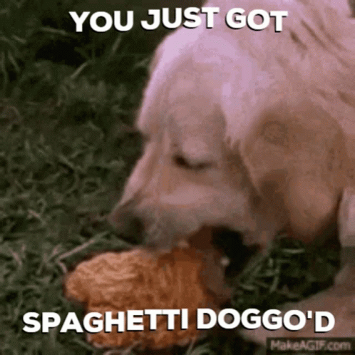 Spaghetti Dog GIF - Spaghetti Dog GIFs