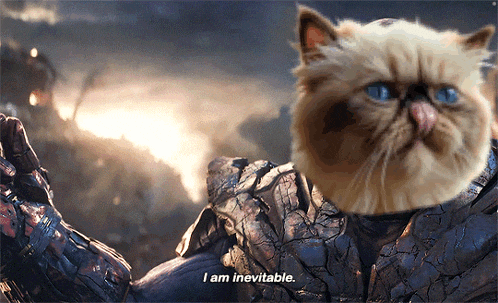a cat in a suit says i am inevitable on the screen
