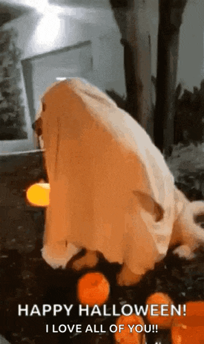 a dog dressed as a ghost is standing next to pumpkins and a candle .