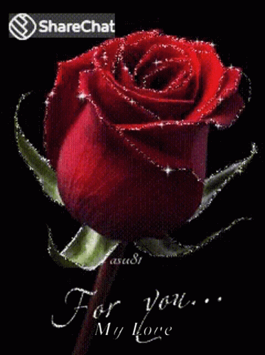 For You Roses GIF - For You Roses Flowers GIFs