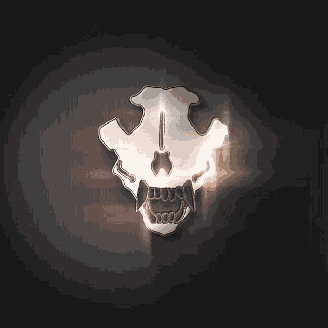 a picture of a skull with the letter j in the center