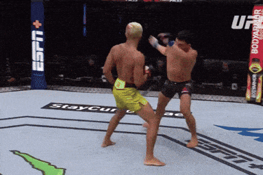 two men are fighting in a boxing ring with a espn banner in the background