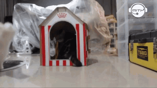 a cardboard dog house sits next to a yellow tsbg toolbox