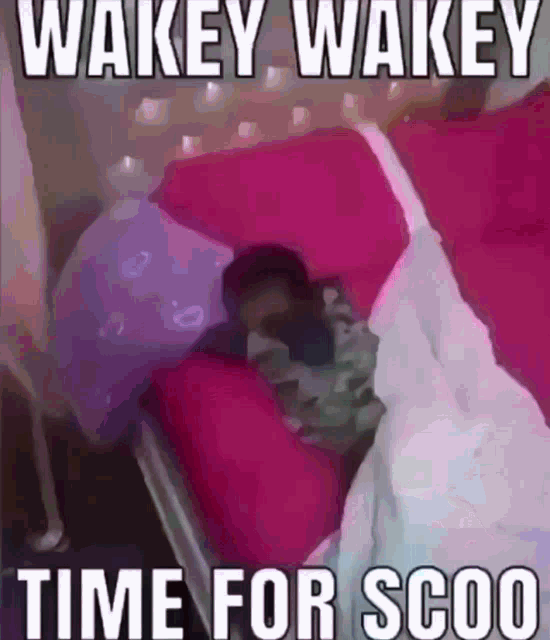 Wakey Wakey Time For Scoo GIF - Wakey Wakey Time For Scoo Time For School GIFs