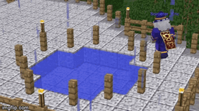 a screenshot of a minecraft game shows a wizard standing in front of a pool of water
