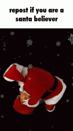 Santa Believer GIF