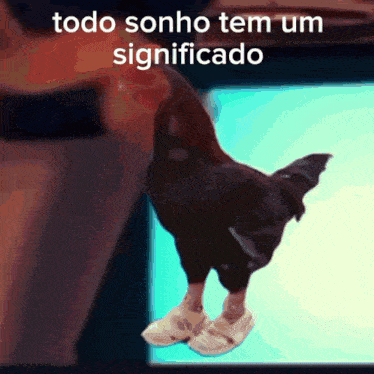 a picture of a chicken with the words todo sonho tem um significado written above it