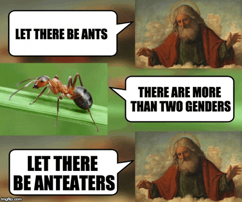 a picture of an ant with speech bubbles that say let there be ants there are more than two genders and let there be anteeaters