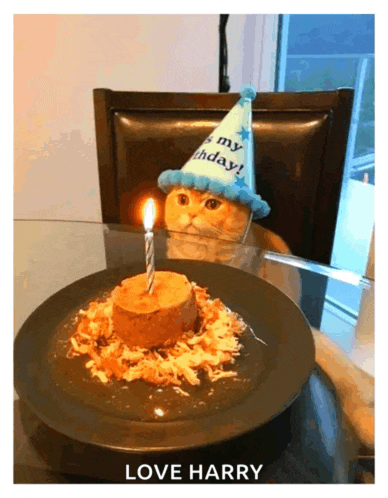 a cat wearing a party hat looks at a birthday cake with a candle on it