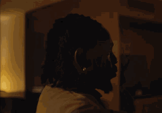 a silhouette of a man with dreadlocks and a beard in a dark room
