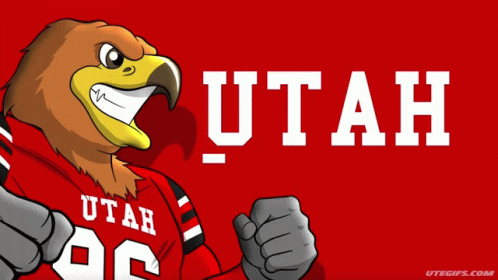 Swoop Utah GIF - Swoop Utah Football GIFs