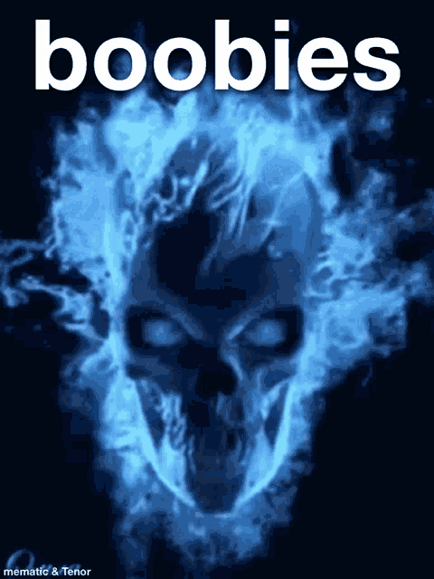 a picture of a skull with the word boobies written above it