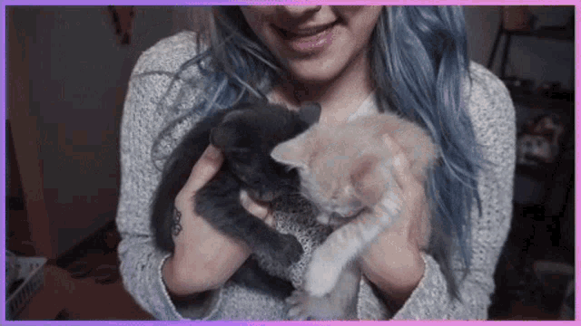 Kissing Kittens Avagg GIF - Kissing Kittens Avagg Cat GIFs
