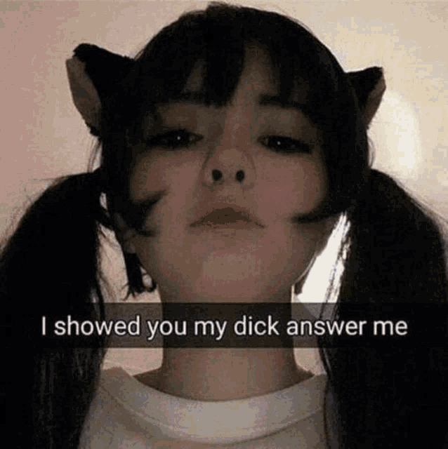 a girl with pigtails and cat ears has a snap that says " i showed you my dick answer me "