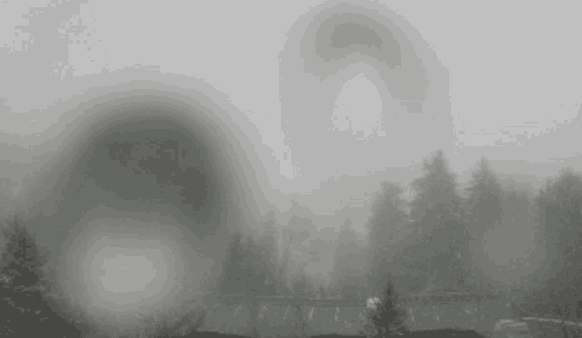 a black and white photo of a foggy landscape