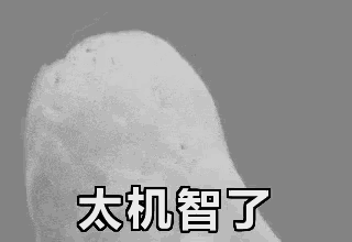 机智，猫头鹰 GIF