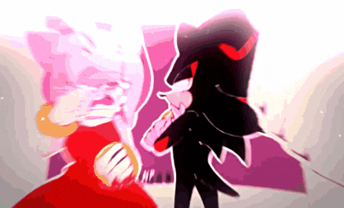 shadow the hedgehog and amy rose are fighting in a cartoon