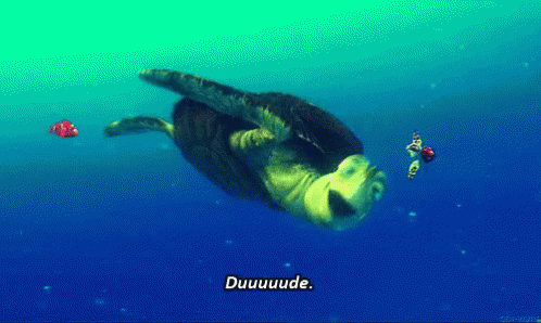 Dude Finding Nemo GIF - Dude Finding Nemo Crush GIFs