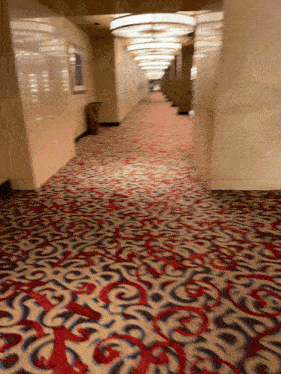 a long hallway with a patterned carpet and a row of lights