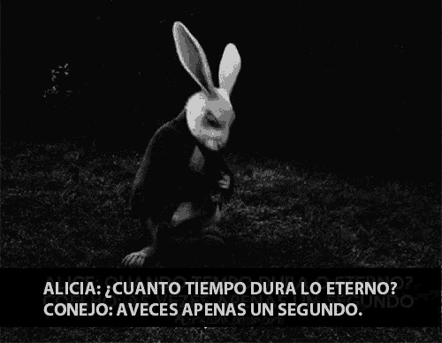 a black and white photo of a rabbit with the words alicia cuanto tiempo dura lo eterno on the bottom