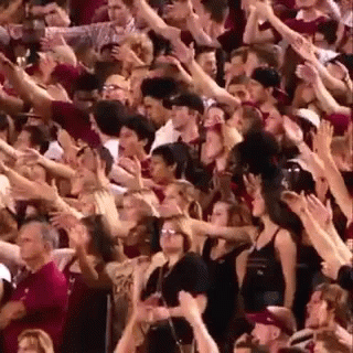 Fans Wave GIF - Fans Wave Cheering GIFs