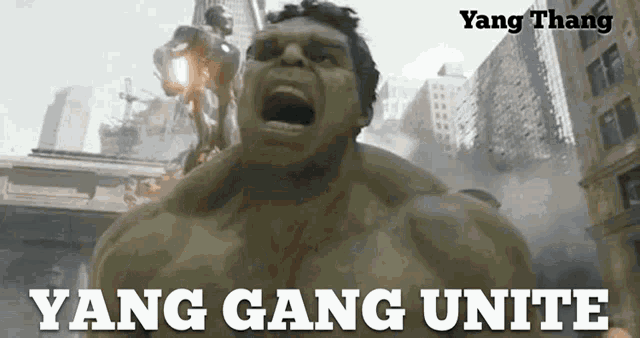 Yang Gang Welcome Yang Gang GIF - Yang Gang Welcome Yang Gang Yang Gang Unite GIFs