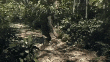a bigfoot is walking down a dirt path in the jungle .