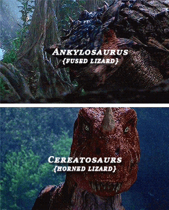 a picture of ankylosaurus and a picture of ceratops