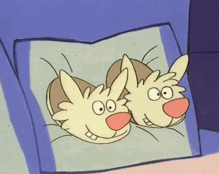 a pair of cat slippers are laying on a bed