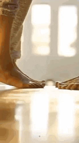 a person 's feet are standing on a wooden table .