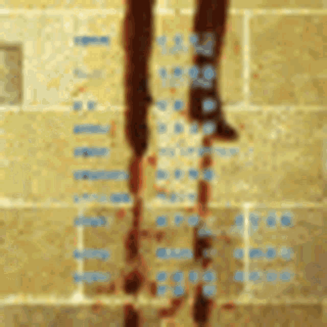 a blurred image of a person 's legs with blood on them .