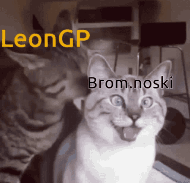 a picture of two cats with the words leongp brom.noski on the top