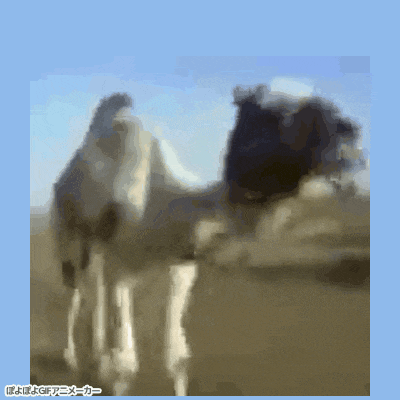 a blurry picture of a camel with a blue background