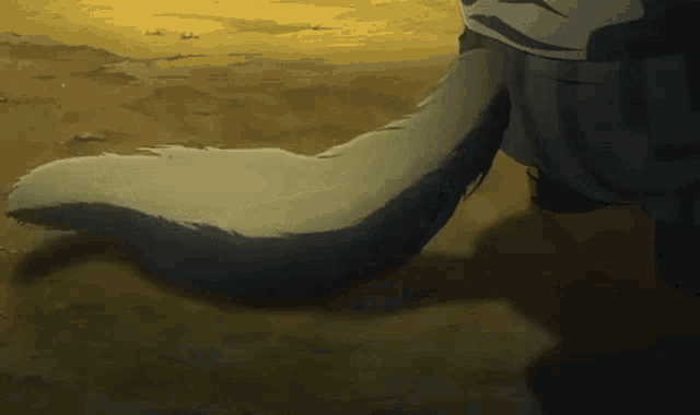 a close up of a wolf 's tail on a dirt ground .