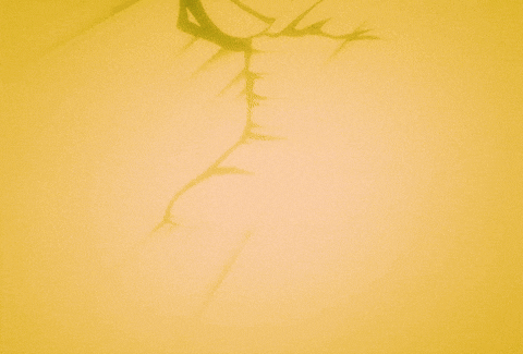a yellow background with a shadow of a scorpion