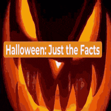 Halloween Just The Facts GIF - Halloween Just The Facts Skeleton GIFs