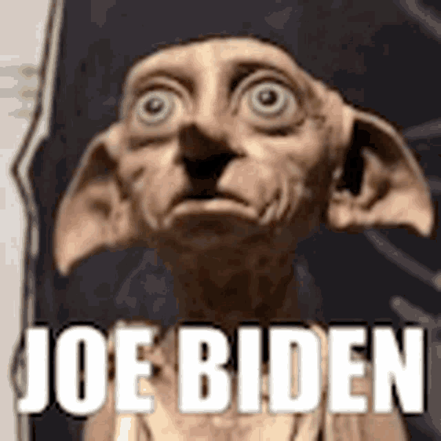 a picture of a harry potter character with the words joe biden on it .