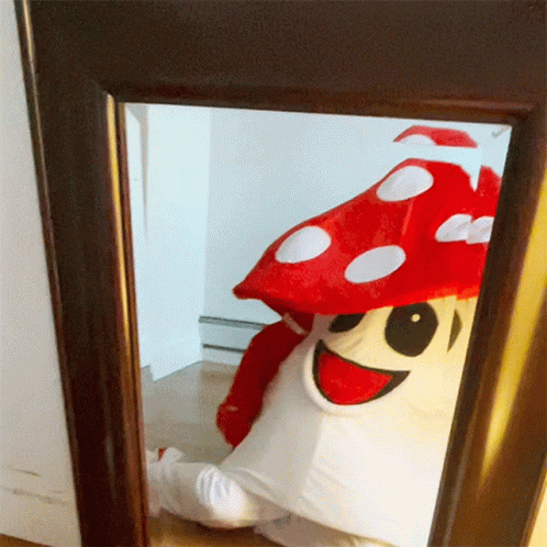 Looking At The Mirror Doubleblind GIF - Looking At The Mirror Doubleblind Mushroom GIFs