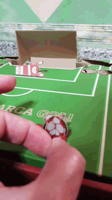 a person is holding a soccer ball in front of a soccer field that says " arca goal "