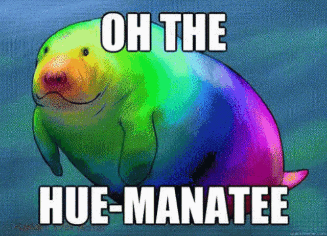 a rainbow sea otter with the words oh the hue-manatee