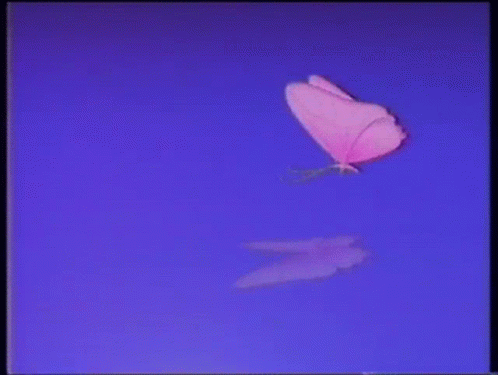 Butterfly Retro GIF - Butterfly Retro Aesthetic GIFs