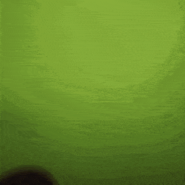a person is standing in front of a green wall and looking at the camera .
