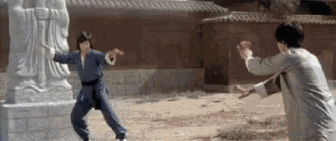 Kung Pow Enter The Fist GIF - Kung Pow Enter The Fist Face To Foot Style GIFs
