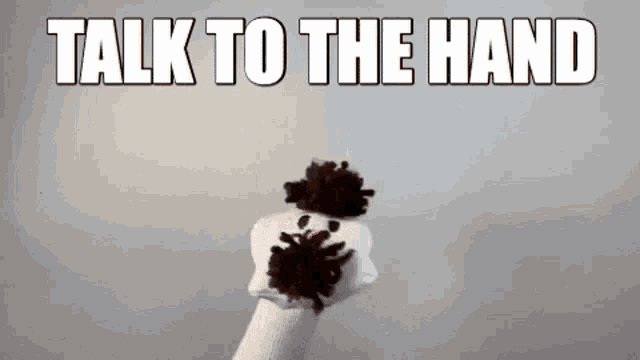 a sock puppet with the words talk to the hand written above it