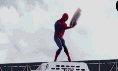 a man in a spiderman costume with a shield on his head