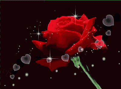 a red rose is surrounded by hearts and sparkles on a black background