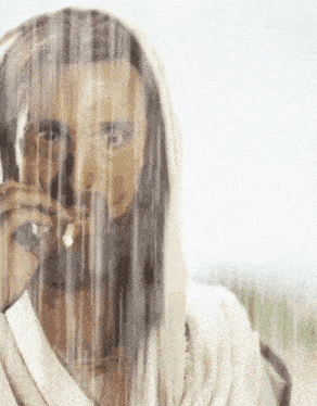 a close up of a person behind a veil