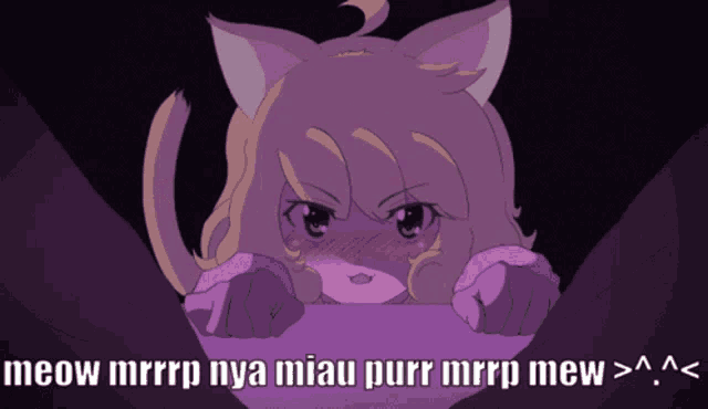 a picture of a cat with the words meow mrrrp nya miau purr mrrp mew >