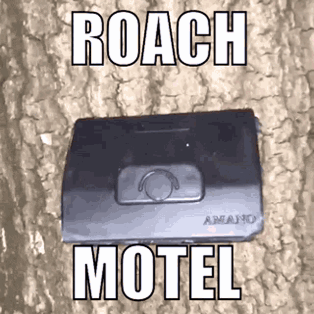 Roach Motel GIF - Roach Motel Roaches GIFs